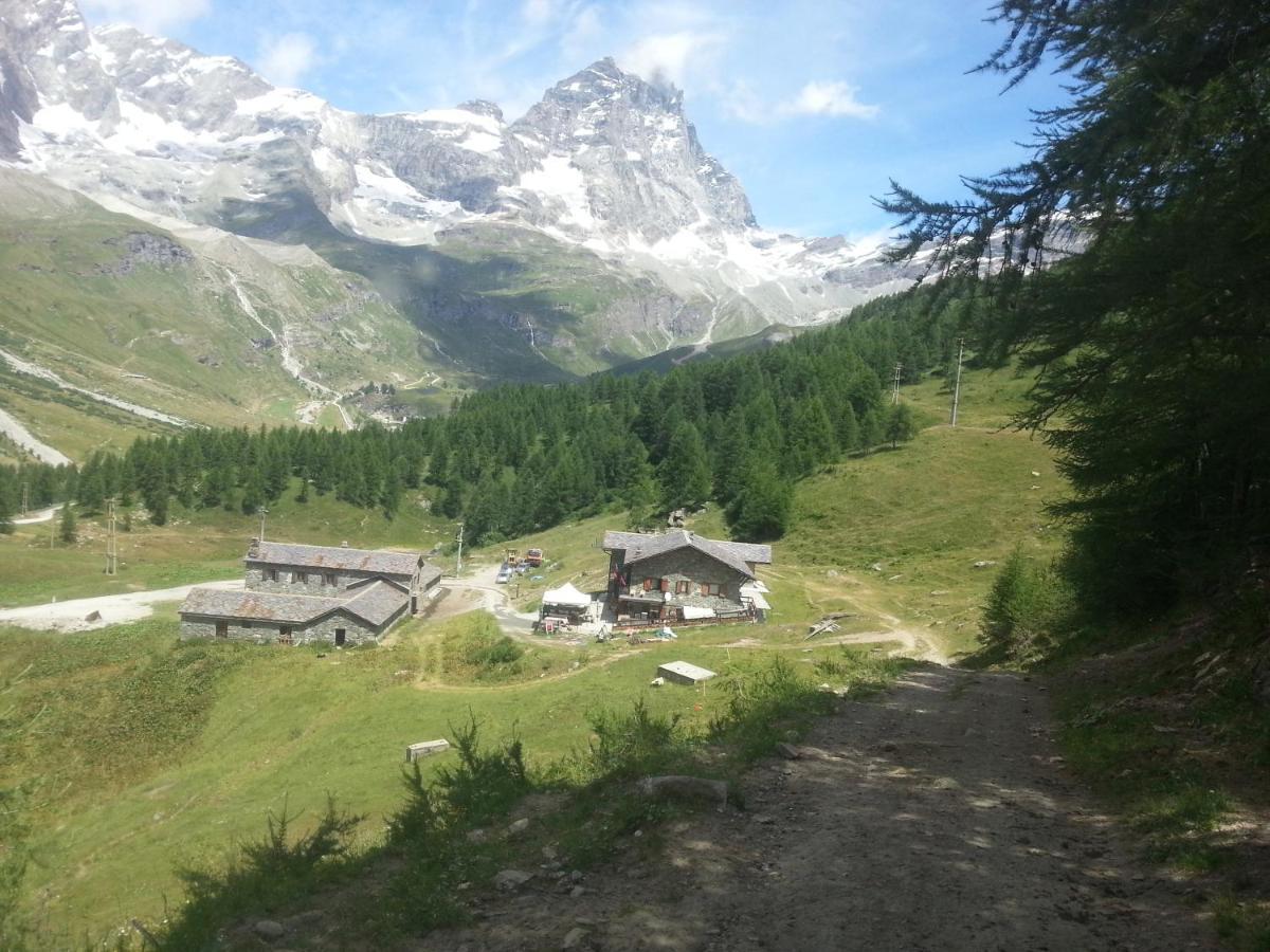 Baita Layet Breuil-Cervinia Dış mekan fotoğraf